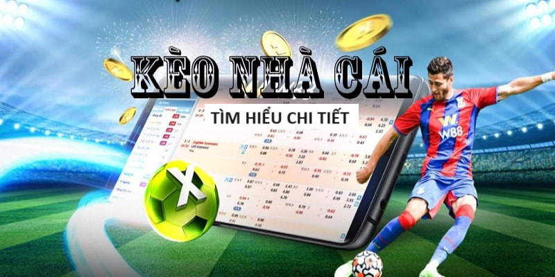 Soi Kèo Bóng Lan Đêm Nay Chính Xác 100%